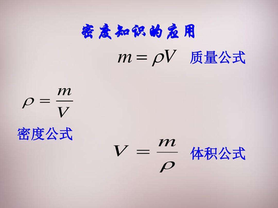 密度检测报告